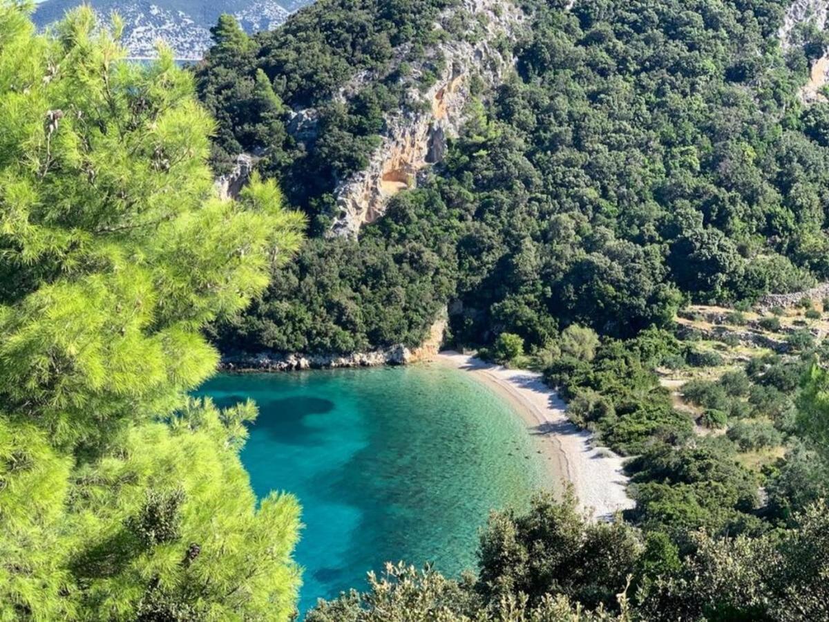 Vineyard House & Olive Grove House Villa Račišće Екстериор снимка