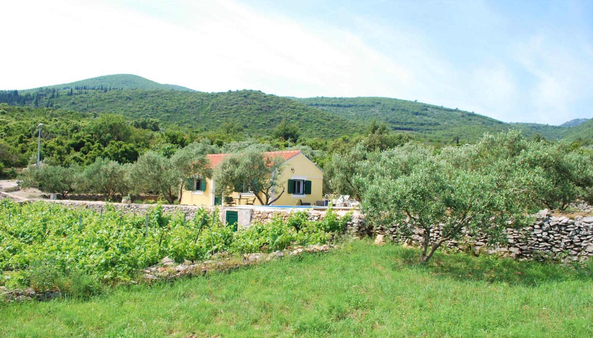 Vineyard House & Olive Grove House Villa Račišće Екстериор снимка