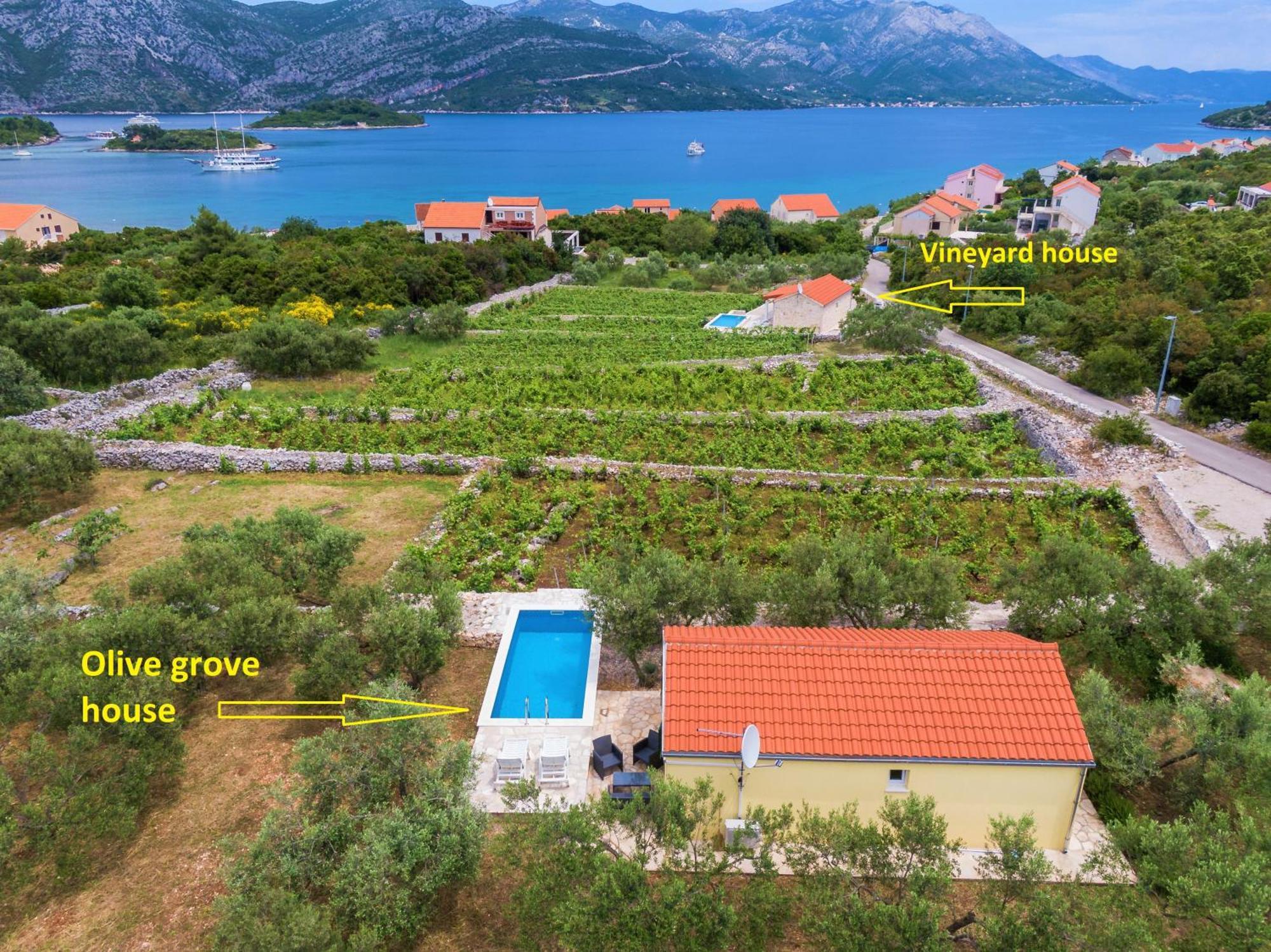Vineyard House & Olive Grove House Villa Račišće Екстериор снимка