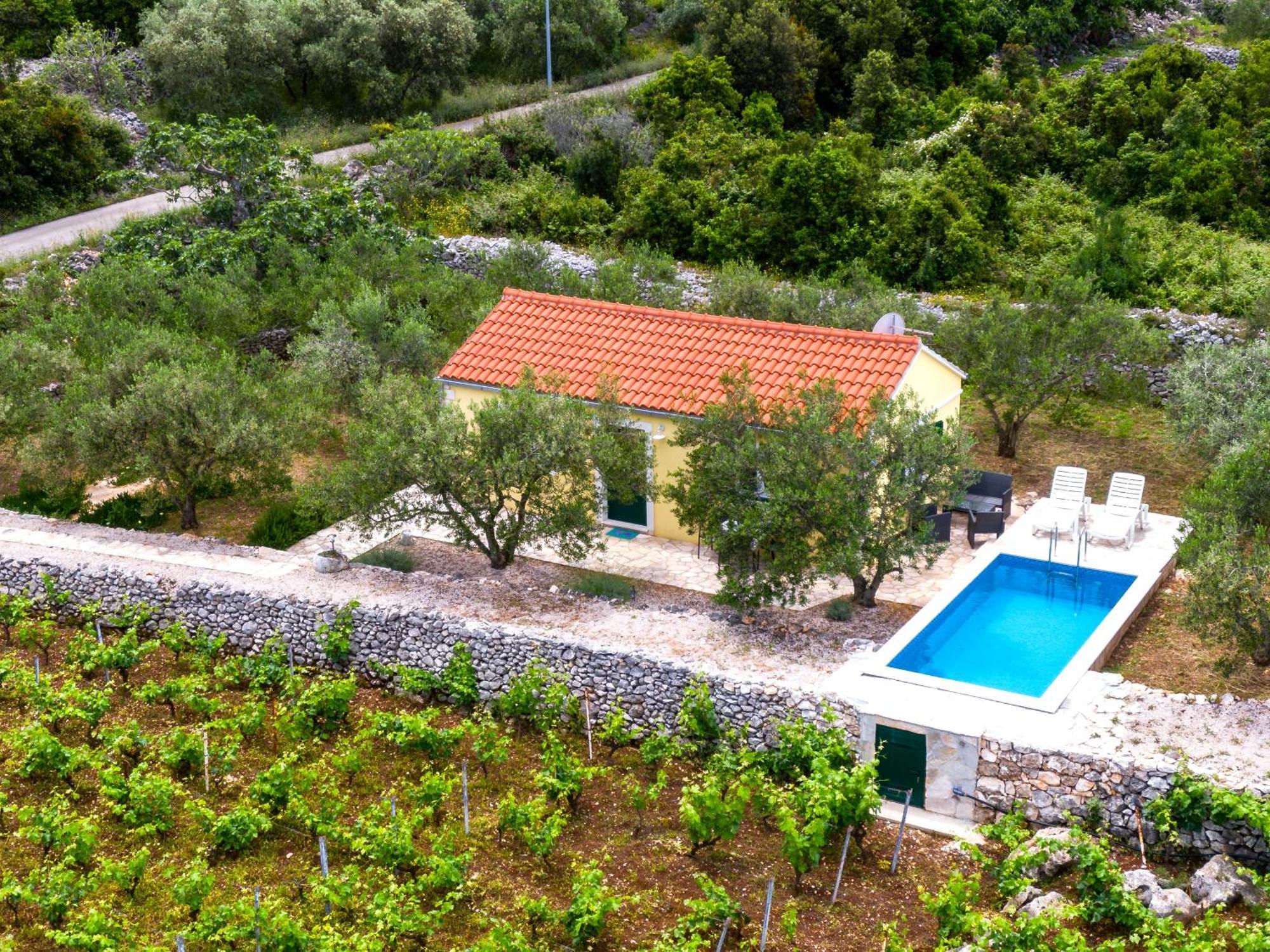 Vineyard House & Olive Grove House Villa Račišće Екстериор снимка