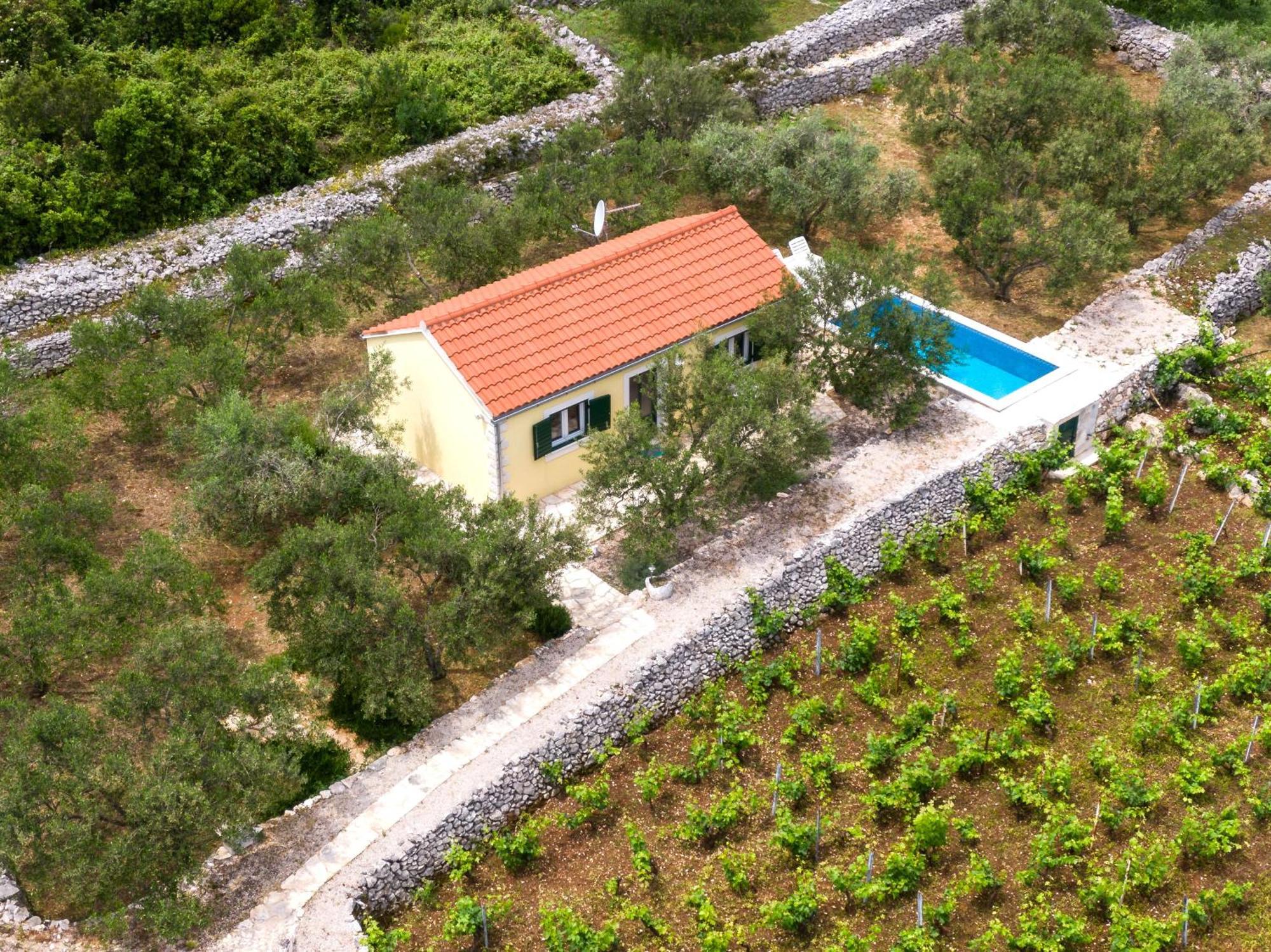 Vineyard House & Olive Grove House Villa Račišće Екстериор снимка