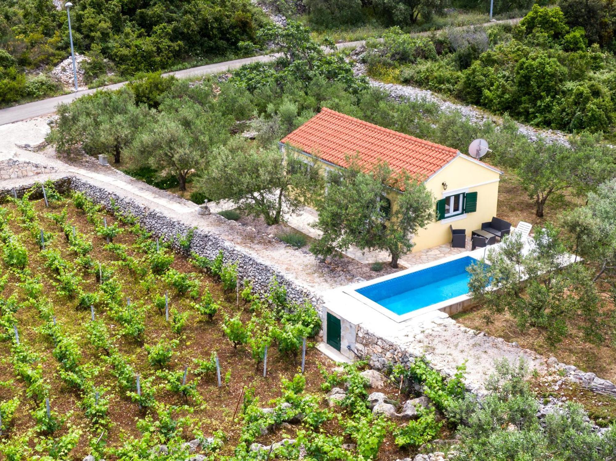 Vineyard House & Olive Grove House Villa Račišće Екстериор снимка