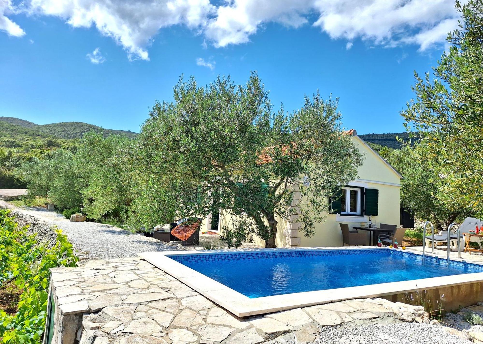 Vineyard House & Olive Grove House Villa Račišće Екстериор снимка