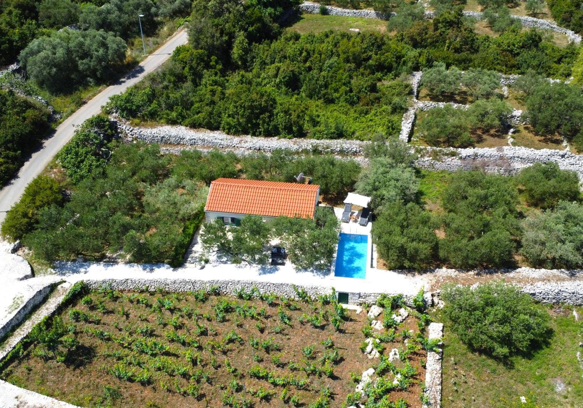 Vineyard House & Olive Grove House Villa Račišće Екстериор снимка