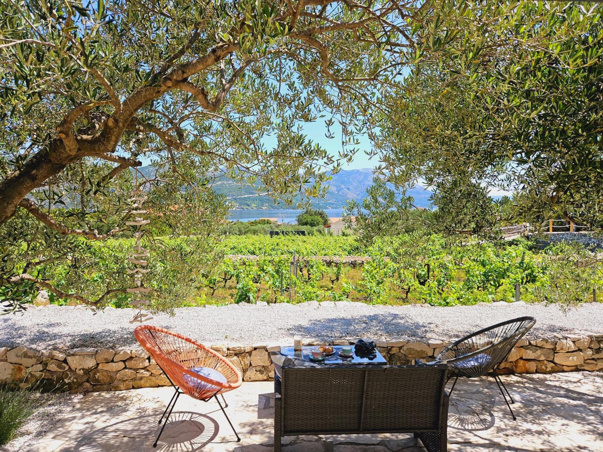 Vineyard House & Olive Grove House Villa Račišće Екстериор снимка