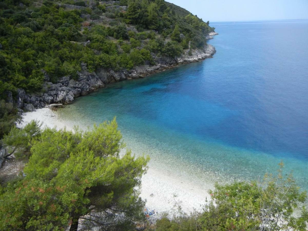 Vineyard House & Olive Grove House Villa Račišće Екстериор снимка