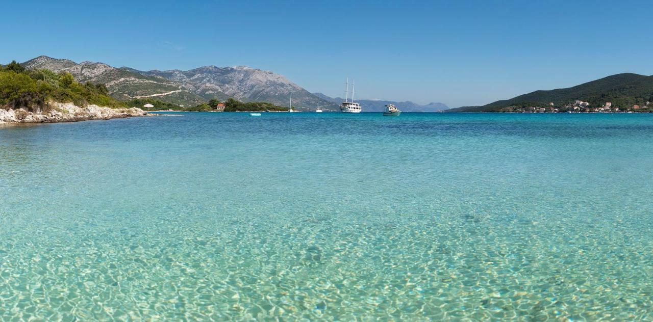 Vineyard House & Olive Grove House Villa Račišće Екстериор снимка