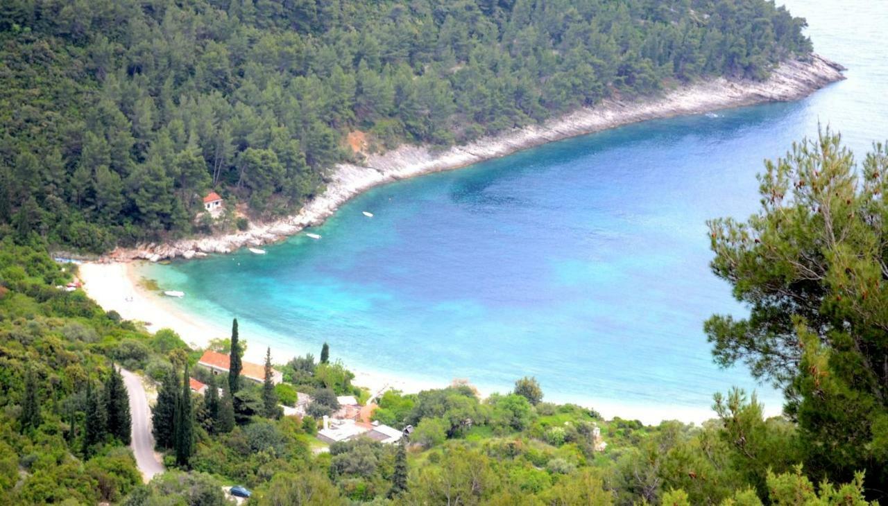 Vineyard House & Olive Grove House Villa Račišće Екстериор снимка