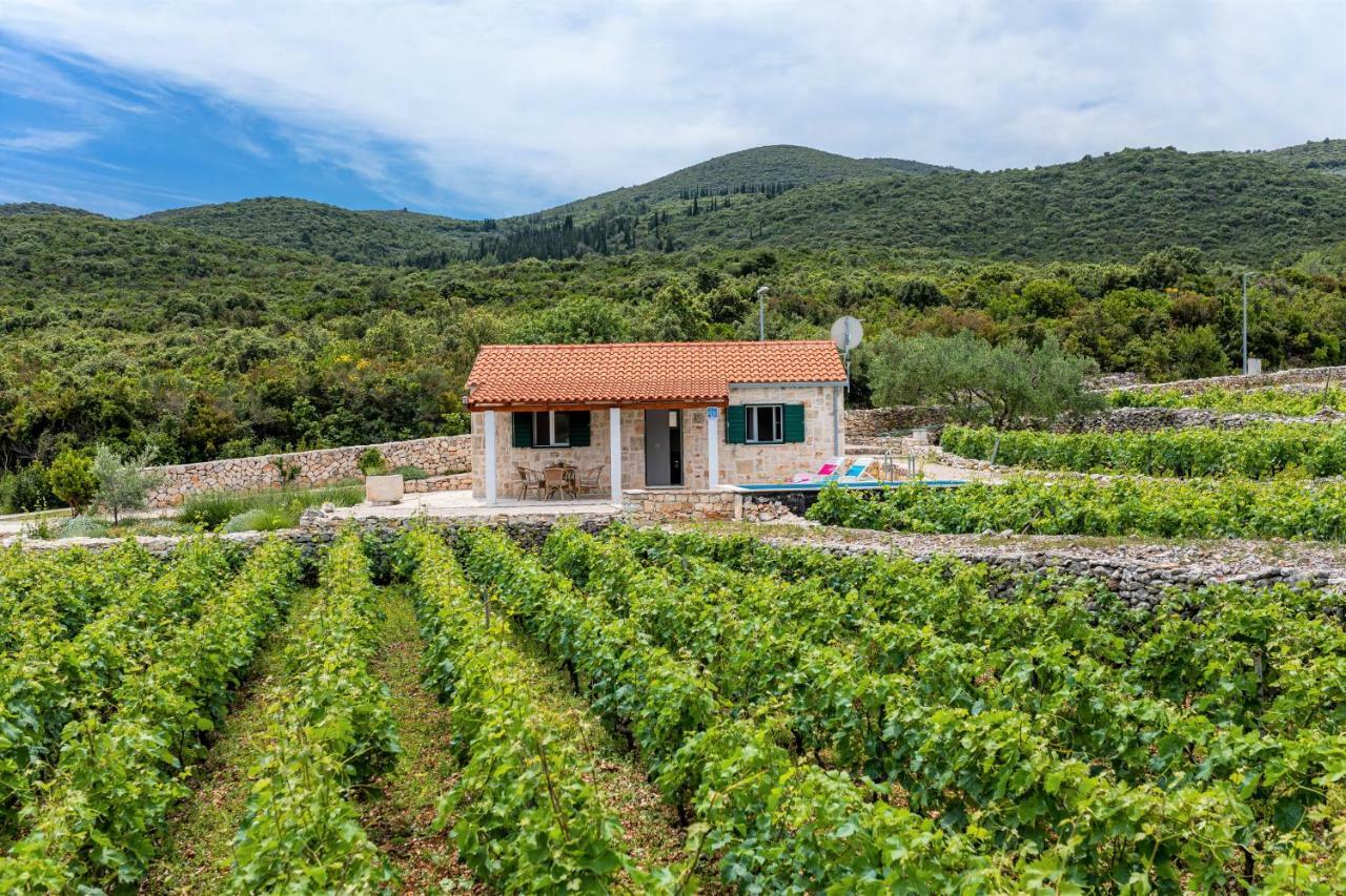 Vineyard House & Olive Grove House Villa Račišće Екстериор снимка