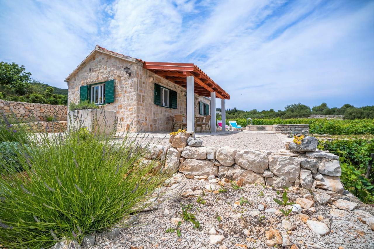 Vineyard House & Olive Grove House Villa Račišće Екстериор снимка