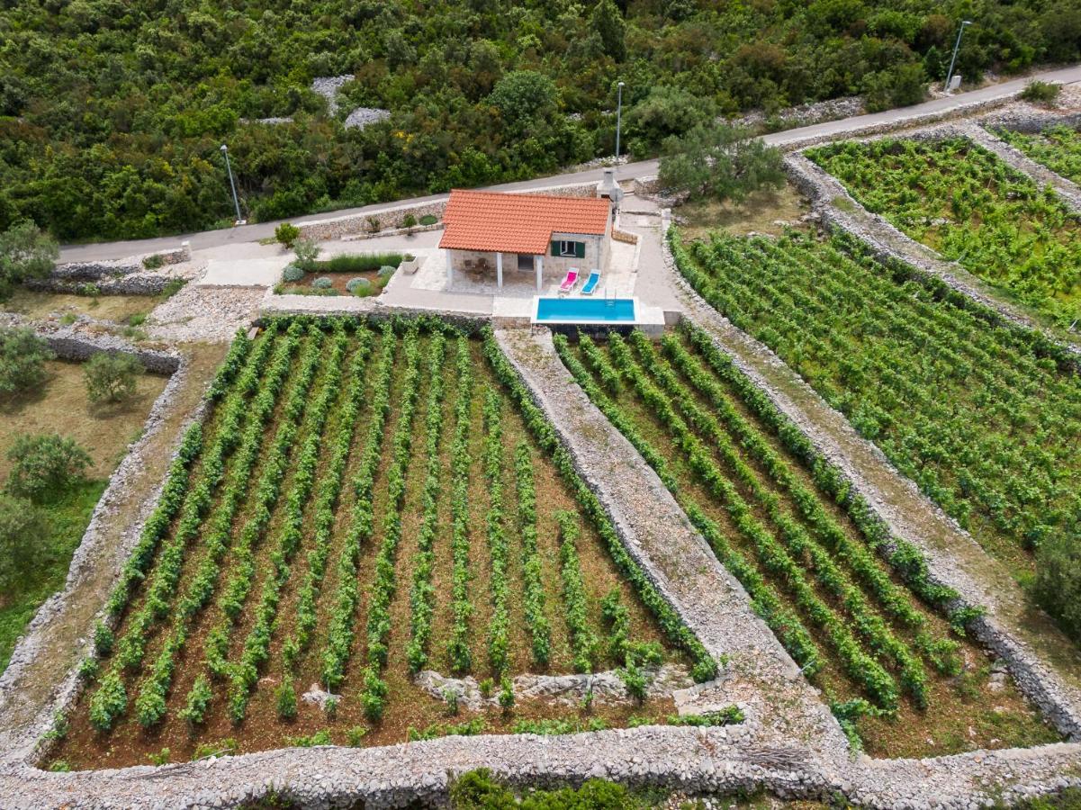 Vineyard House & Olive Grove House Villa Račišće Екстериор снимка