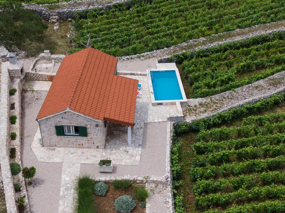 Vineyard House & Olive Grove House Villa Račišće Екстериор снимка