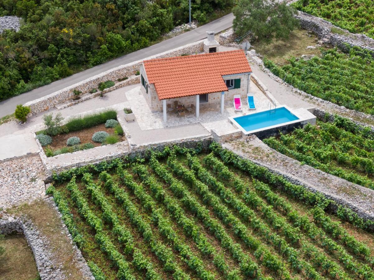 Vineyard House & Olive Grove House Villa Račišće Екстериор снимка