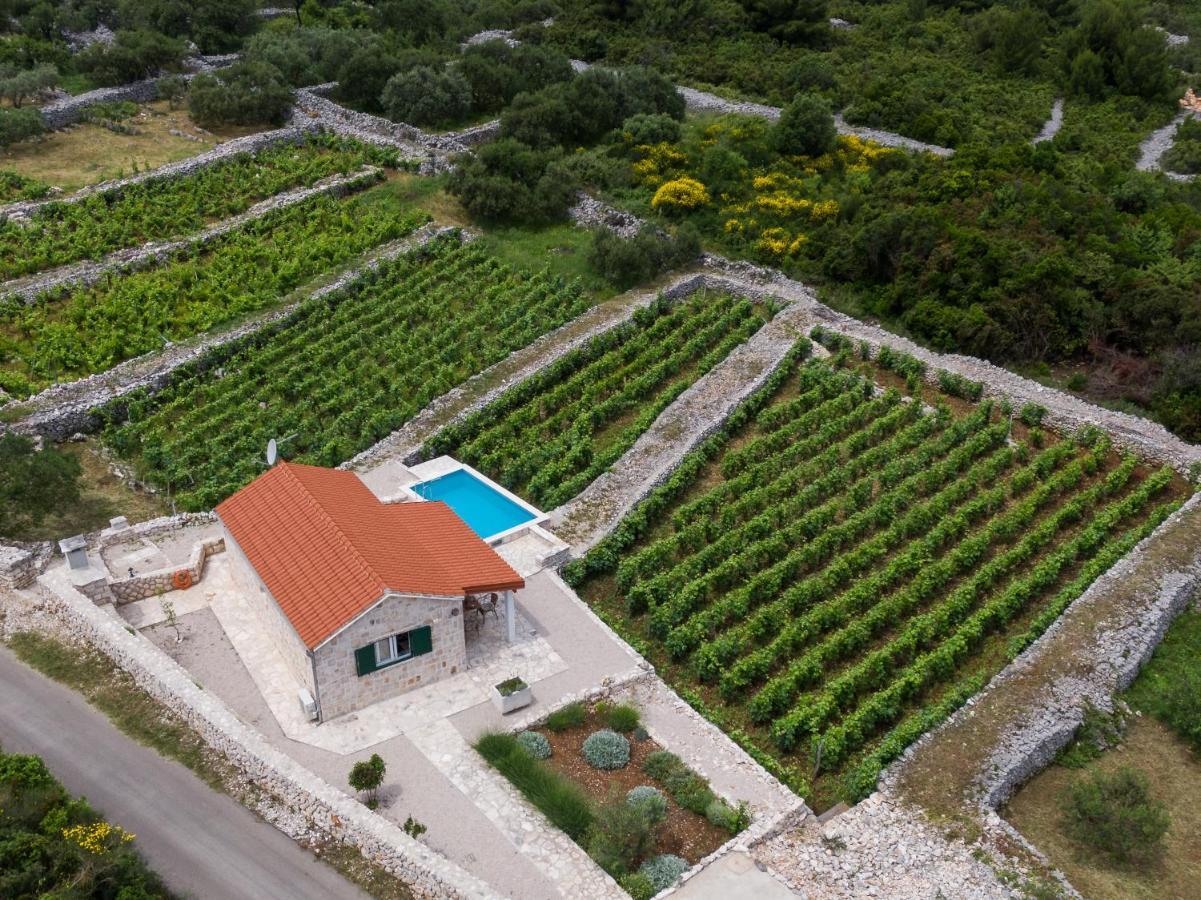 Vineyard House & Olive Grove House Villa Račišće Екстериор снимка